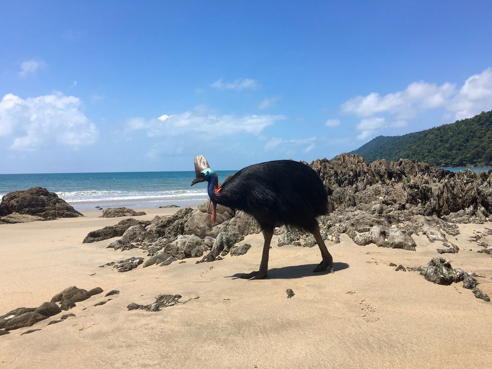 Etty Bay
