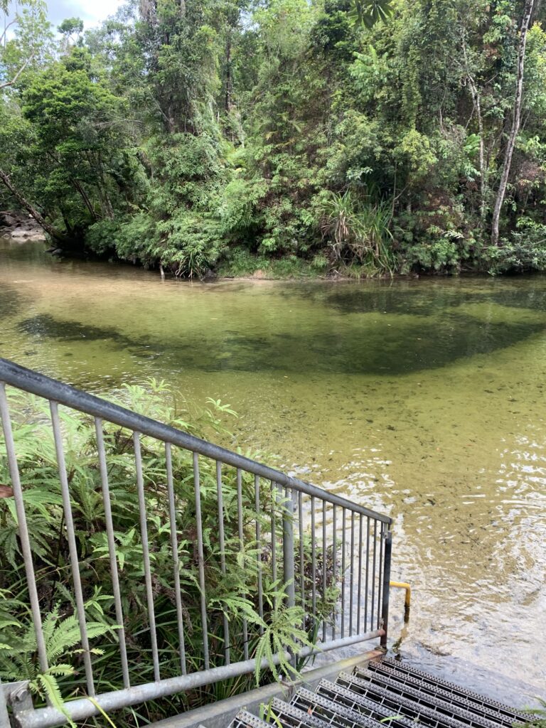 Alligators Nest Swimming Hole: North Queensland's Serene Oasis